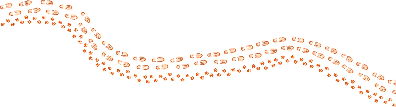 Strava Dog Run Marathon Sweepstakes