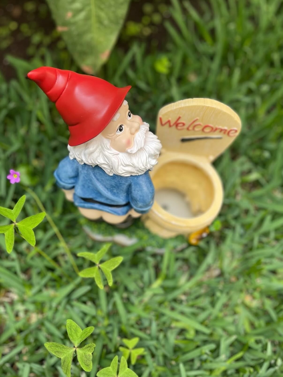 Divertida estatuas de jardín de gnomos de inodoro