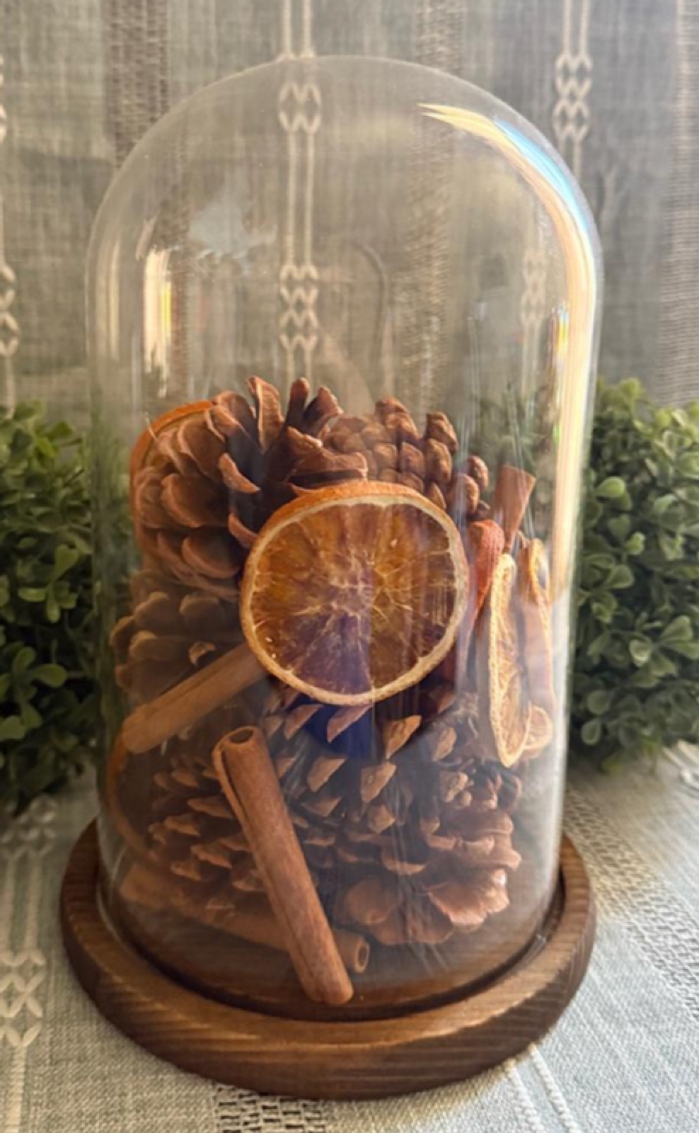 Cúpula de Vidrio con Frutos Secos