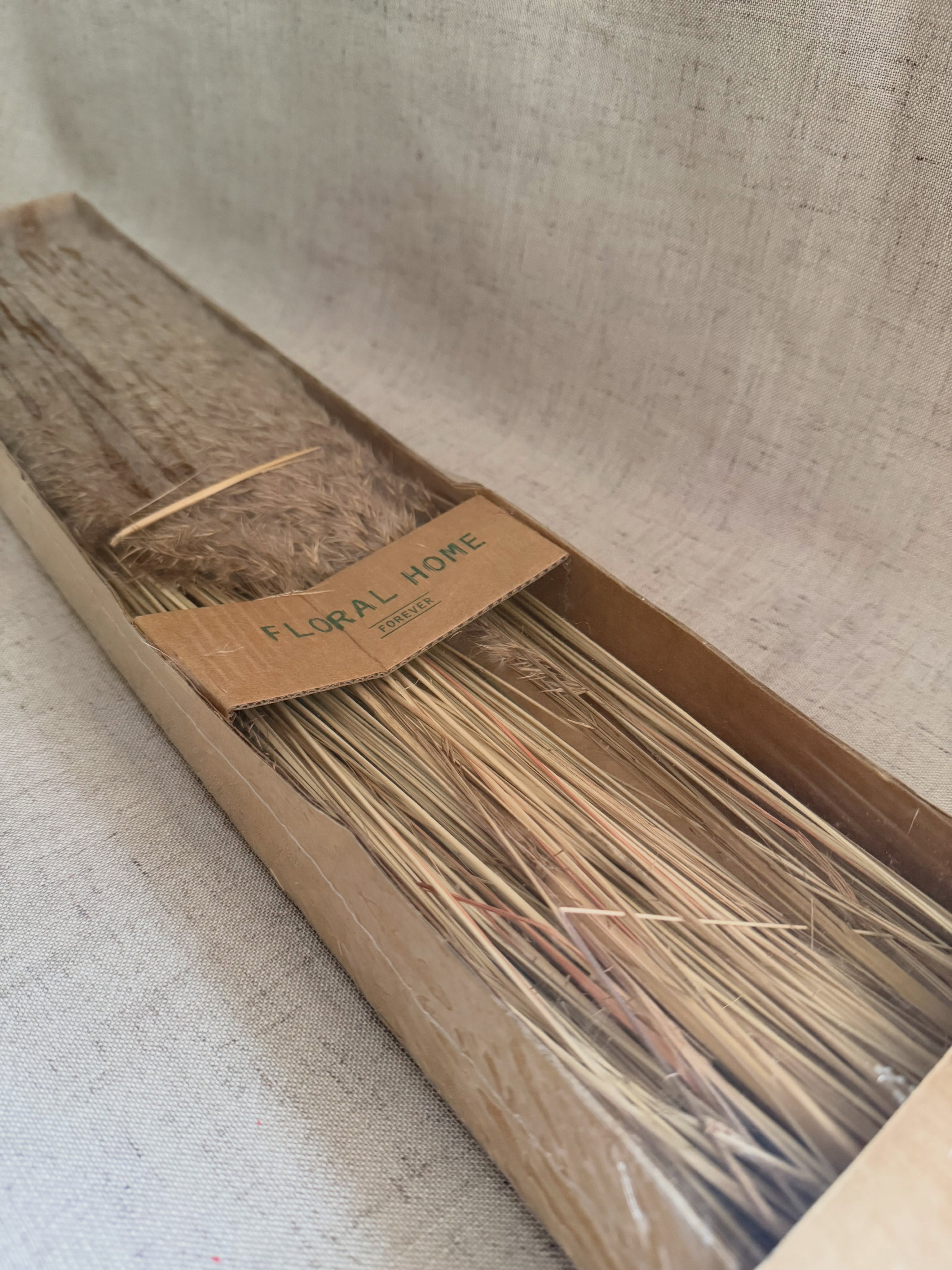 Pampas de ramas esponjosas pequeñas de mesa
