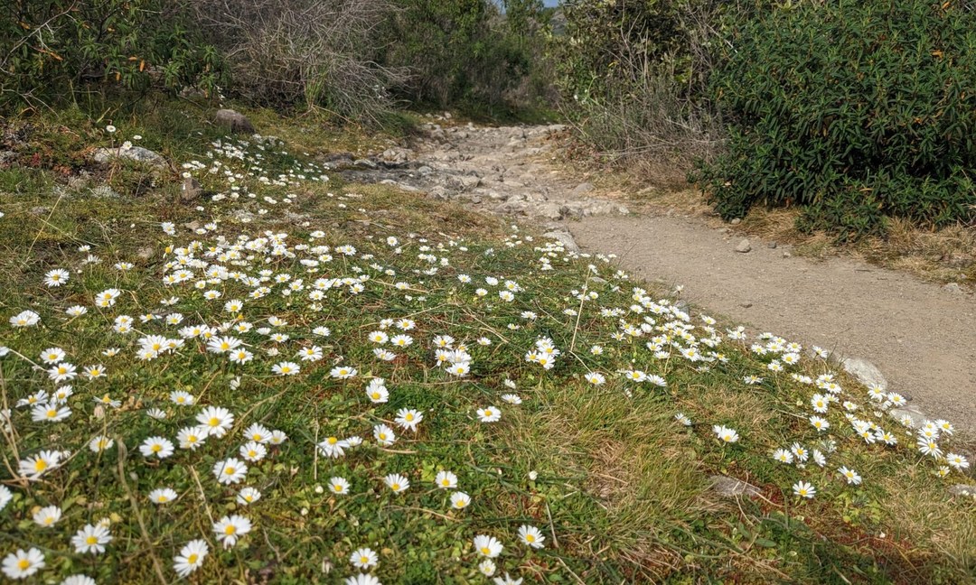Photo of BioTrail 2026