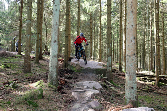 Almindingen - Downhill