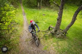 Zeist