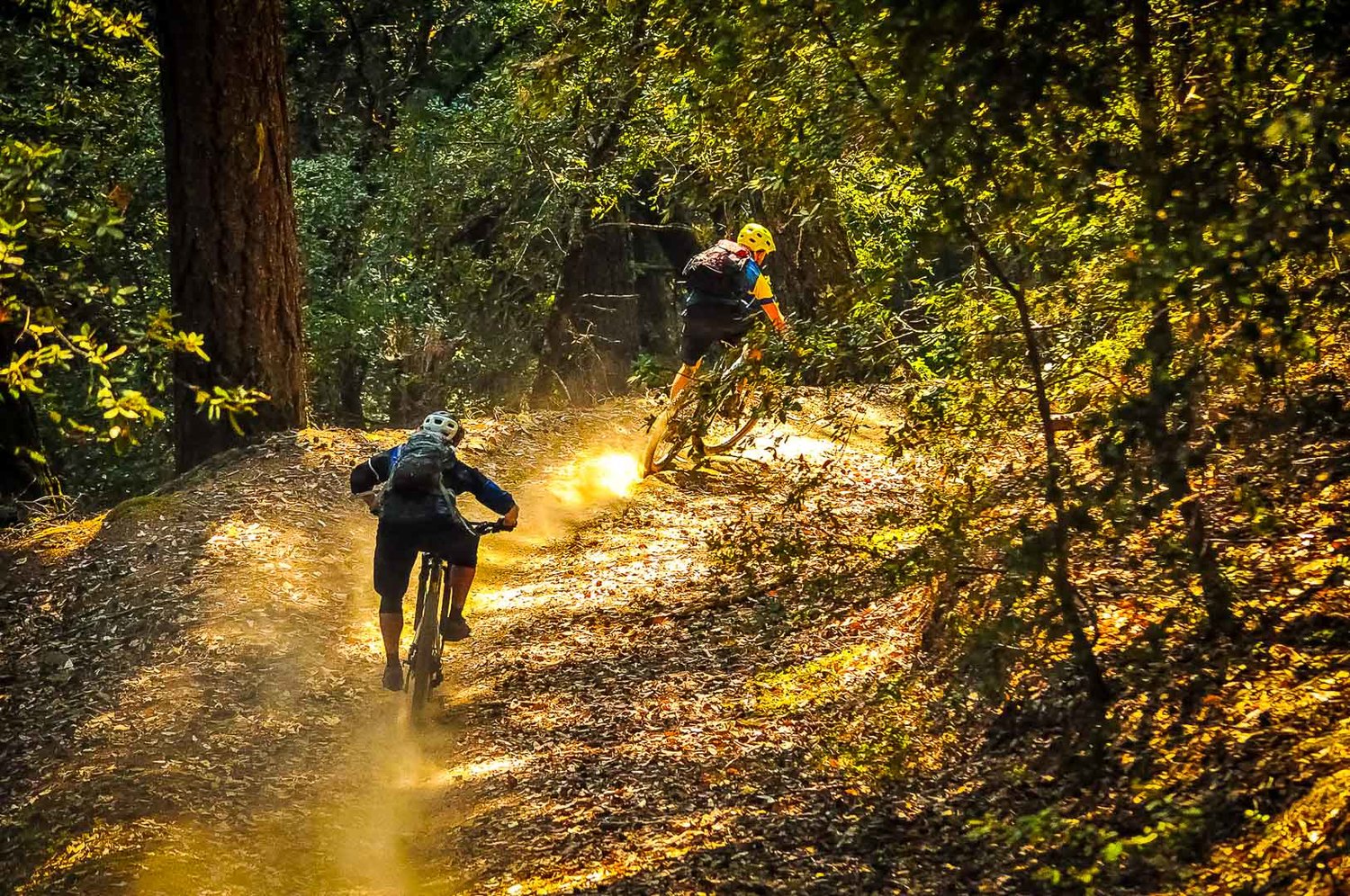 Santa Cruz - Wilder Ranch