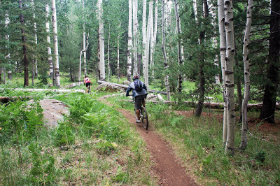 Santa Cruz - Engleman's Loop