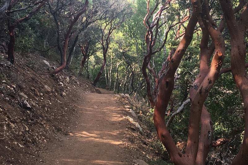 Mount Umunhum Loop