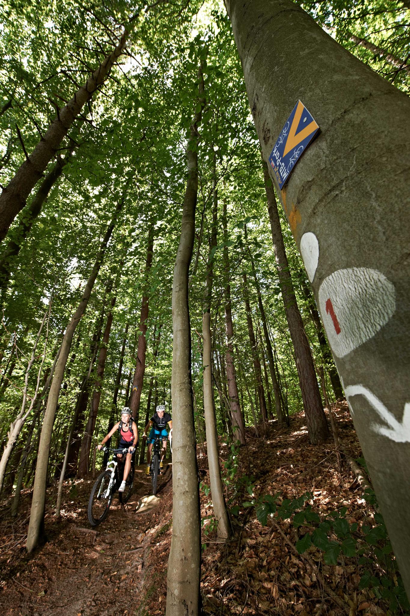 Hochspeyer Tour 4 Premium Bike Trail Tour