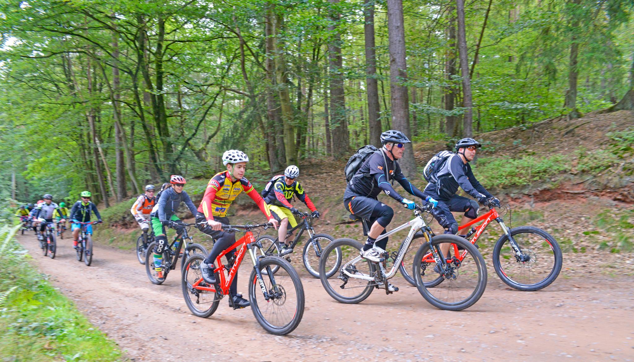 Bundenthal Tour 14 (Dahn-Südost)