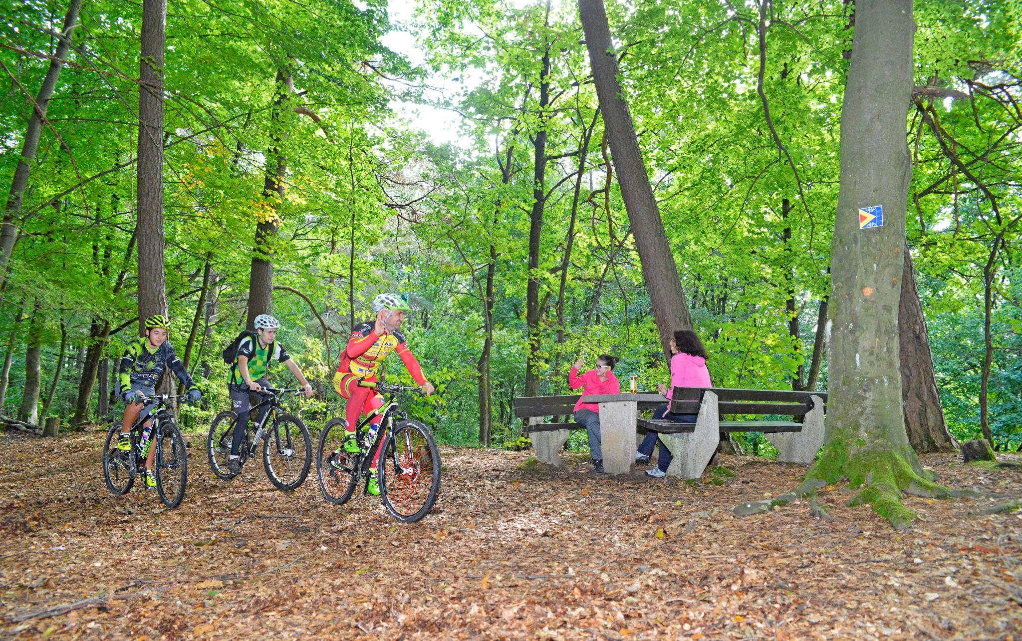 Bundenthal Tour 15 (Dahn-Süd)