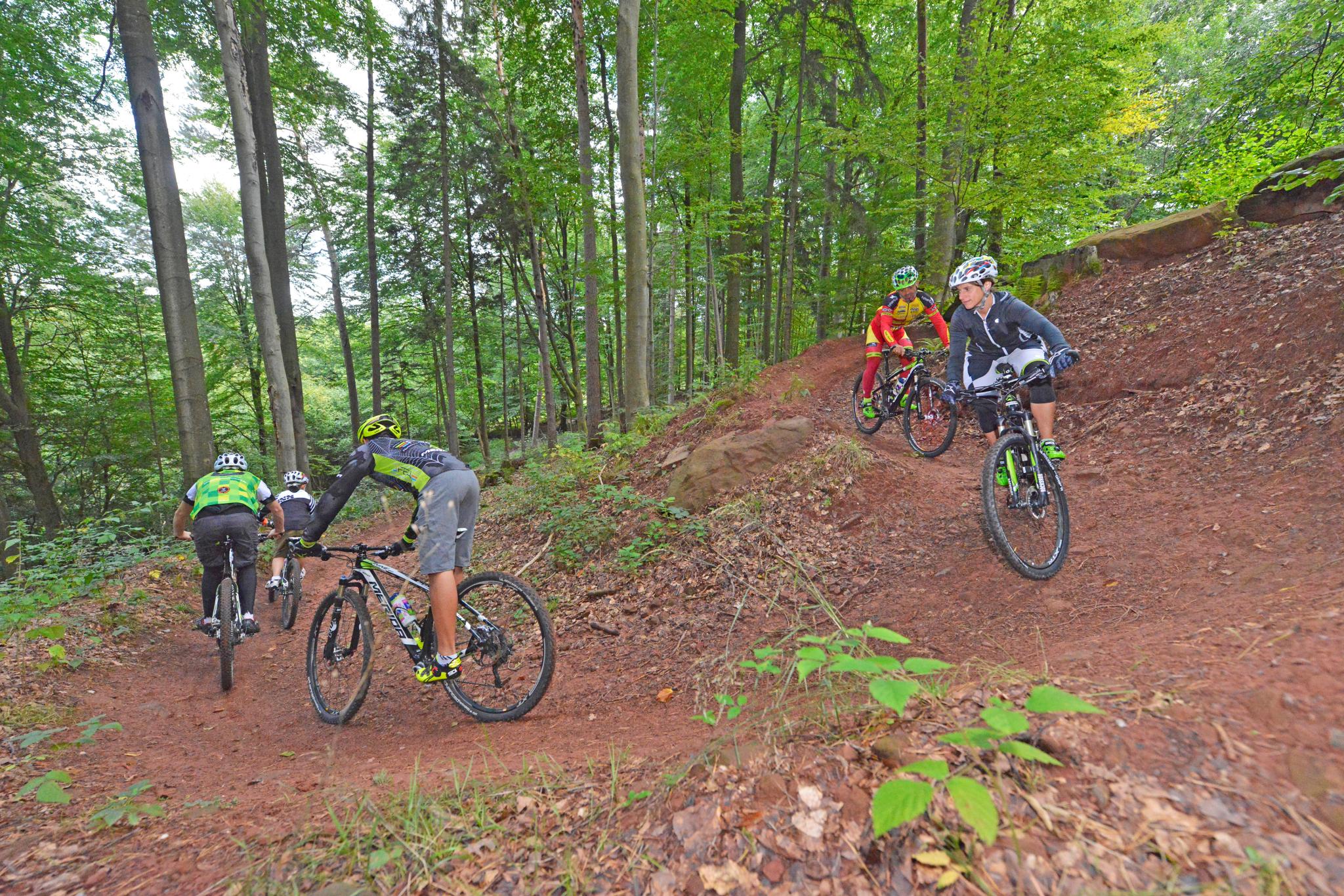 Fischbach Tour 16 (Dahn-Südwest)