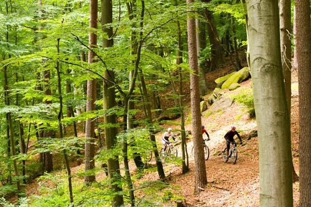 Pirmasens Tour 20
