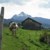 Buronhütte - Grüntensee - Wertachtal - Stich