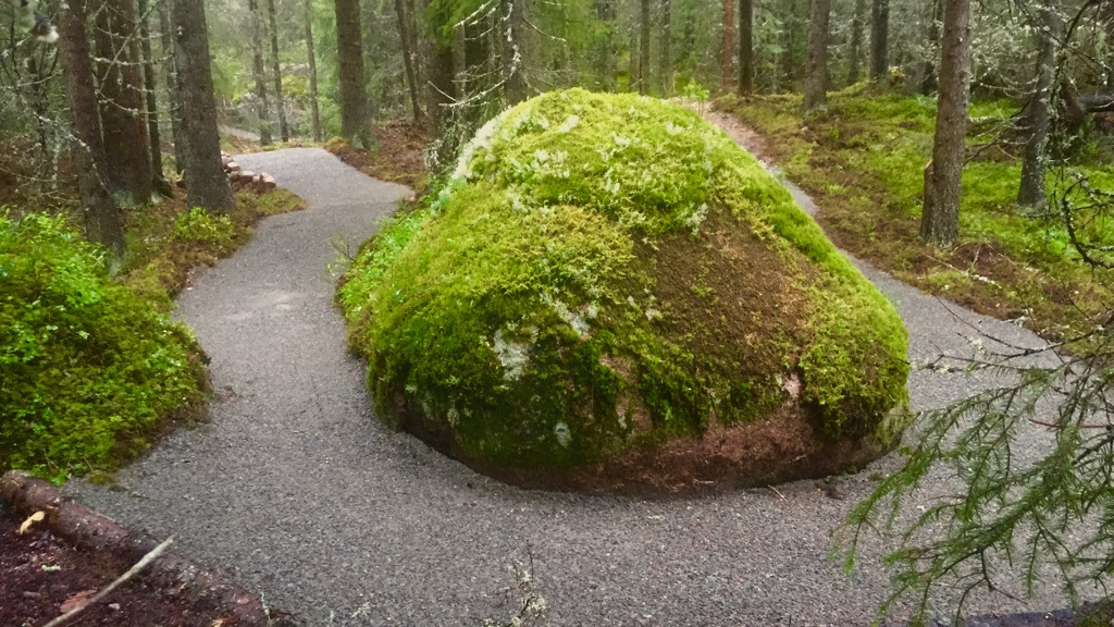 Tractor Hill