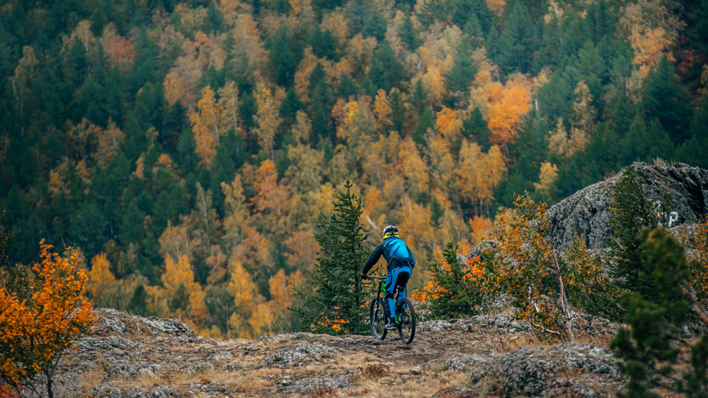 Vallåsen Bike Park #5 - Pipeline