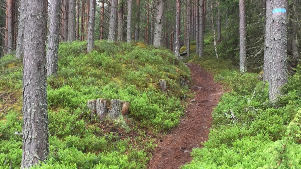 Brattåsstien
