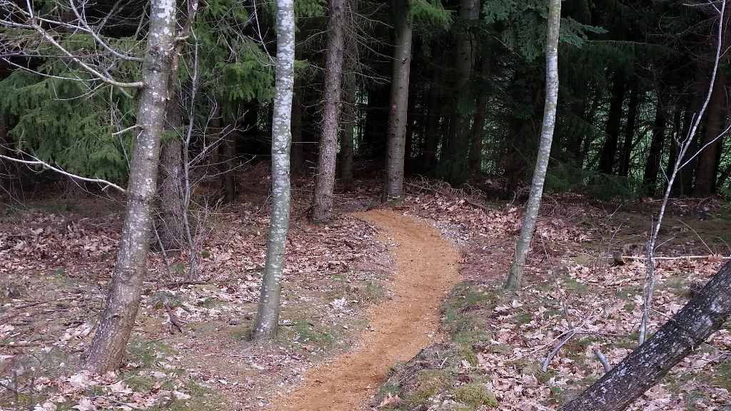 Sir Lyngbjerg MTB spor.
