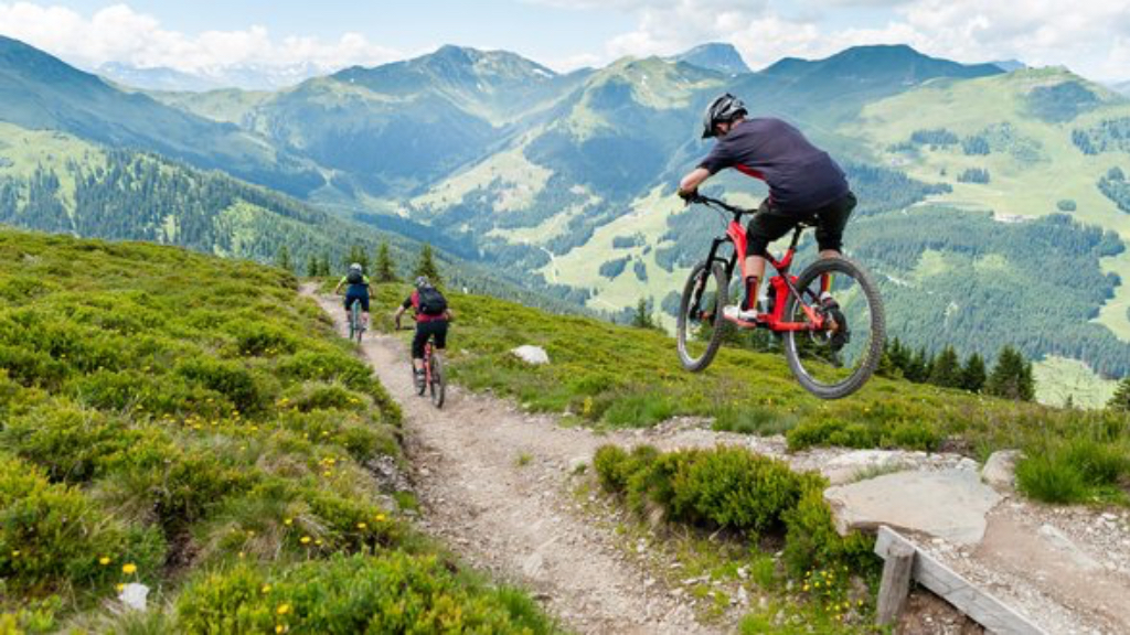 Hacklberg Trail