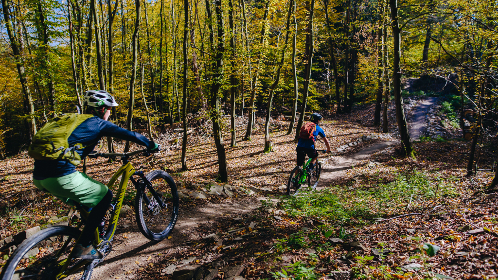 Singlekras Jedovnice: Uphill trail