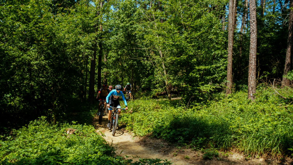 Singlekras Mariánské údolí: Trail 1