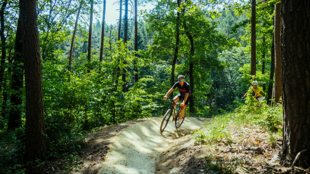 Singlekras Mariánské údolí: Trail 2