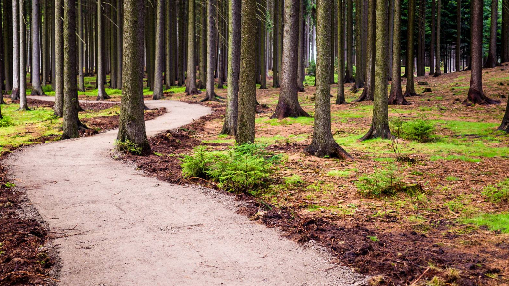 Green Handy Trail