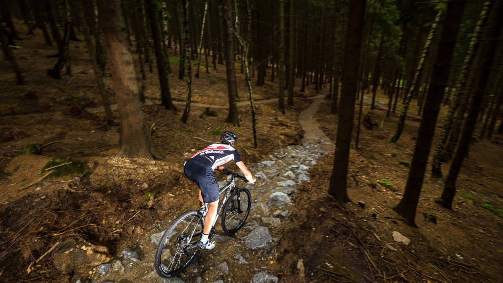 Red Trail 3
