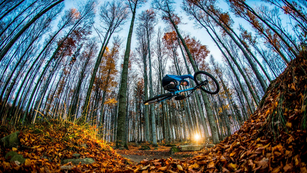 SuperFlow Trail - Section 2-6