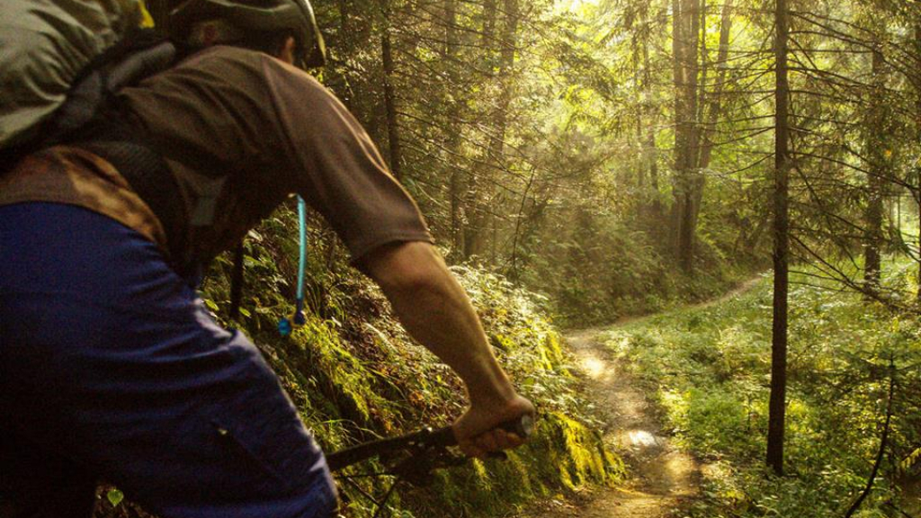 Trail podél Černého potoka