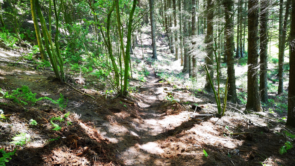 Vinstrup Bjerge MTB Spor