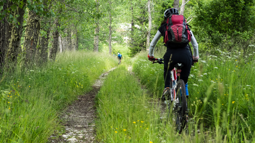 Kronoskogens Friåkningsområde lätt tur