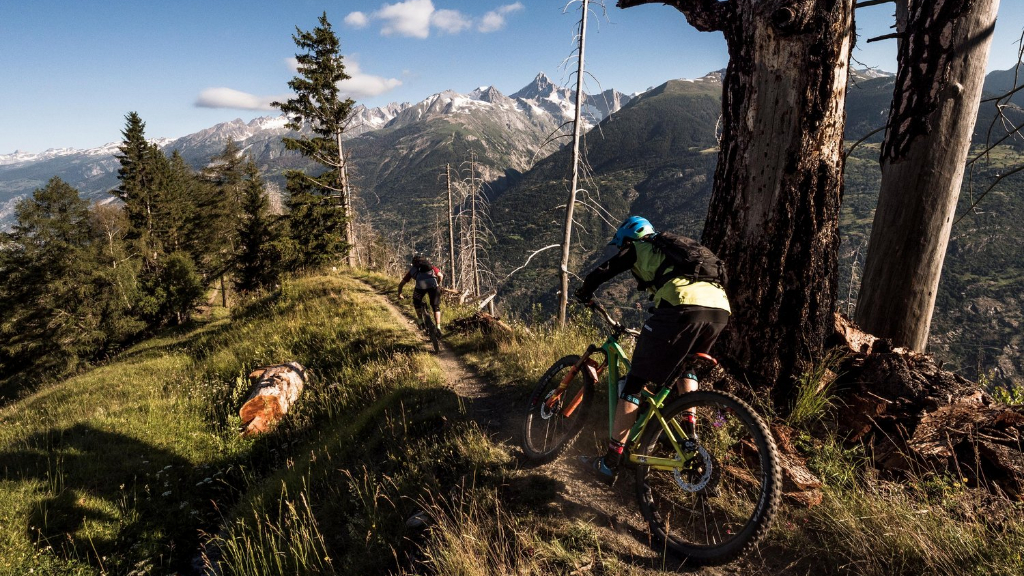 Giw - Visp