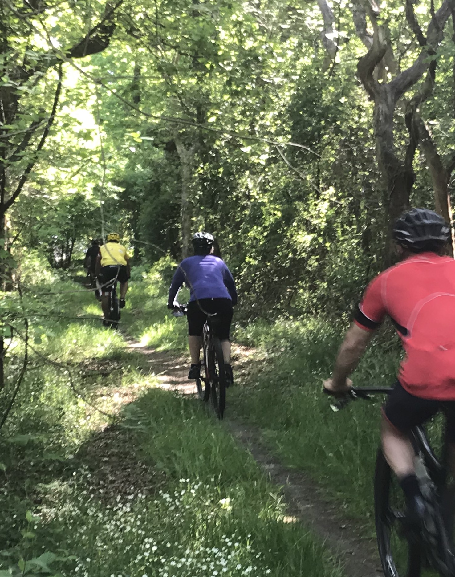Grimstrup krat mtb-spor (grøn)