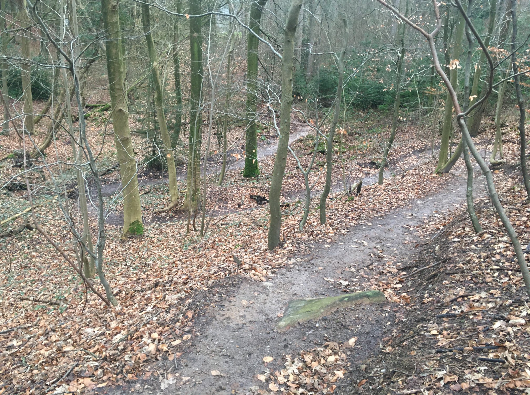 Mamrelund MTB Spor