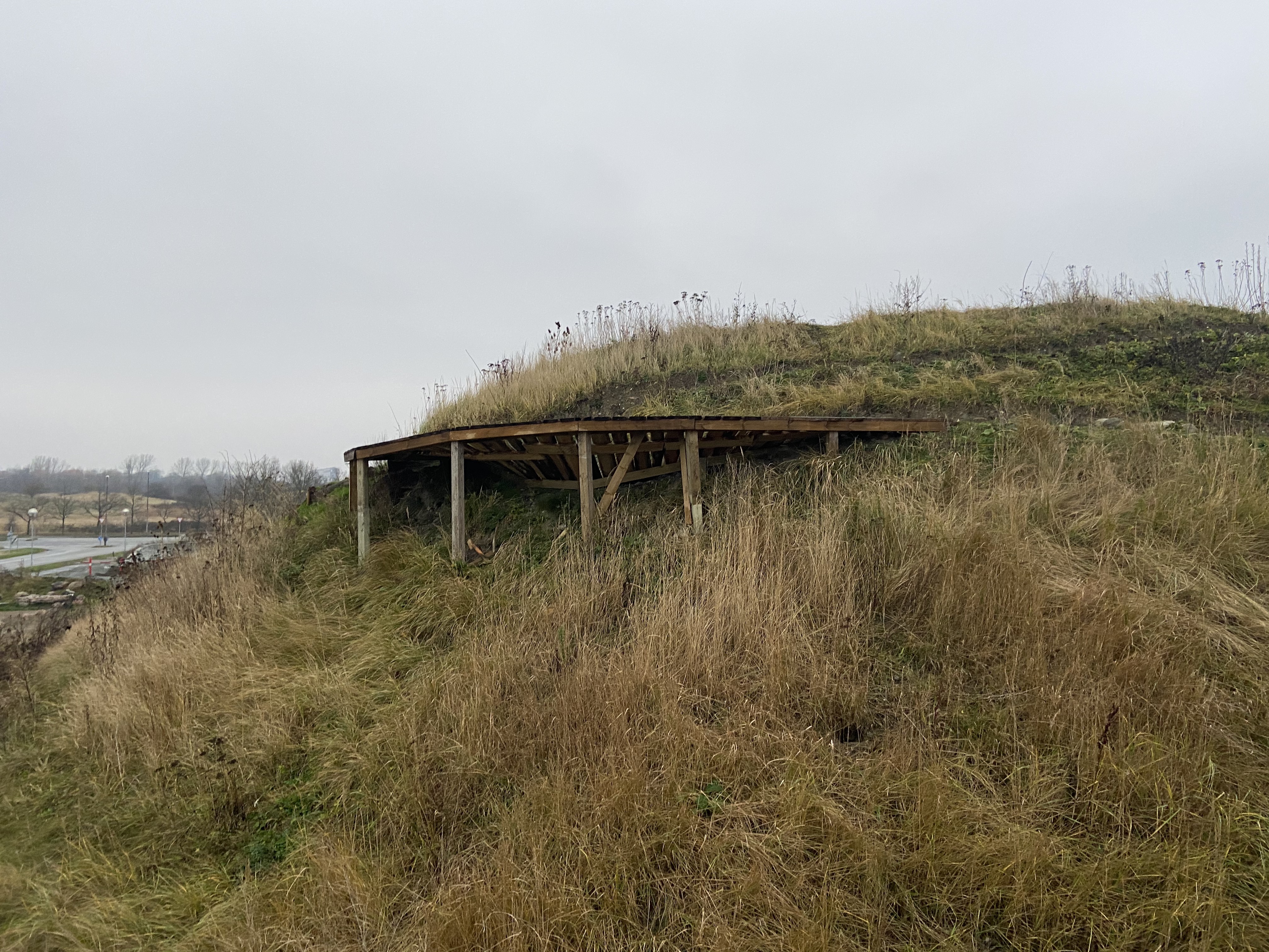 Hvidovre MTB spor Sort