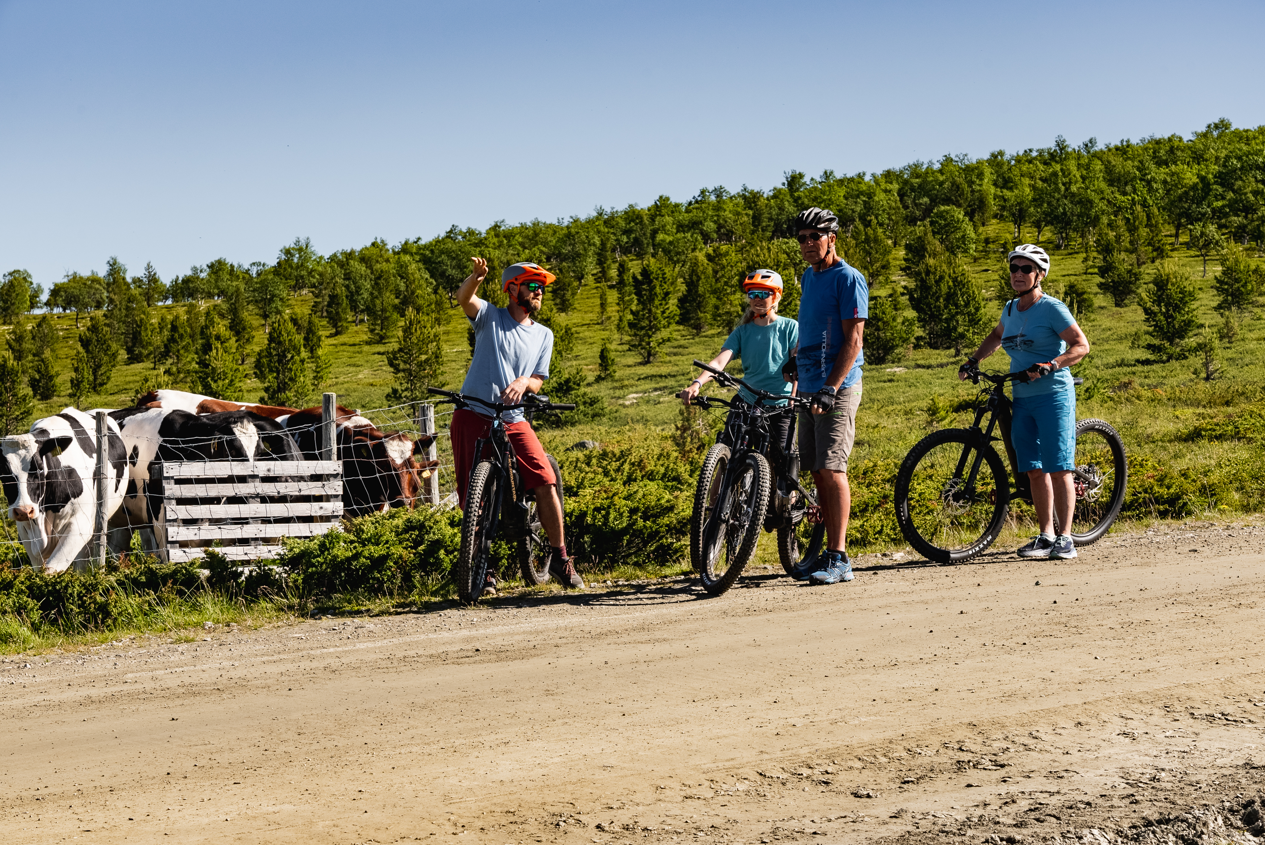 Lomsjødalsrunden
