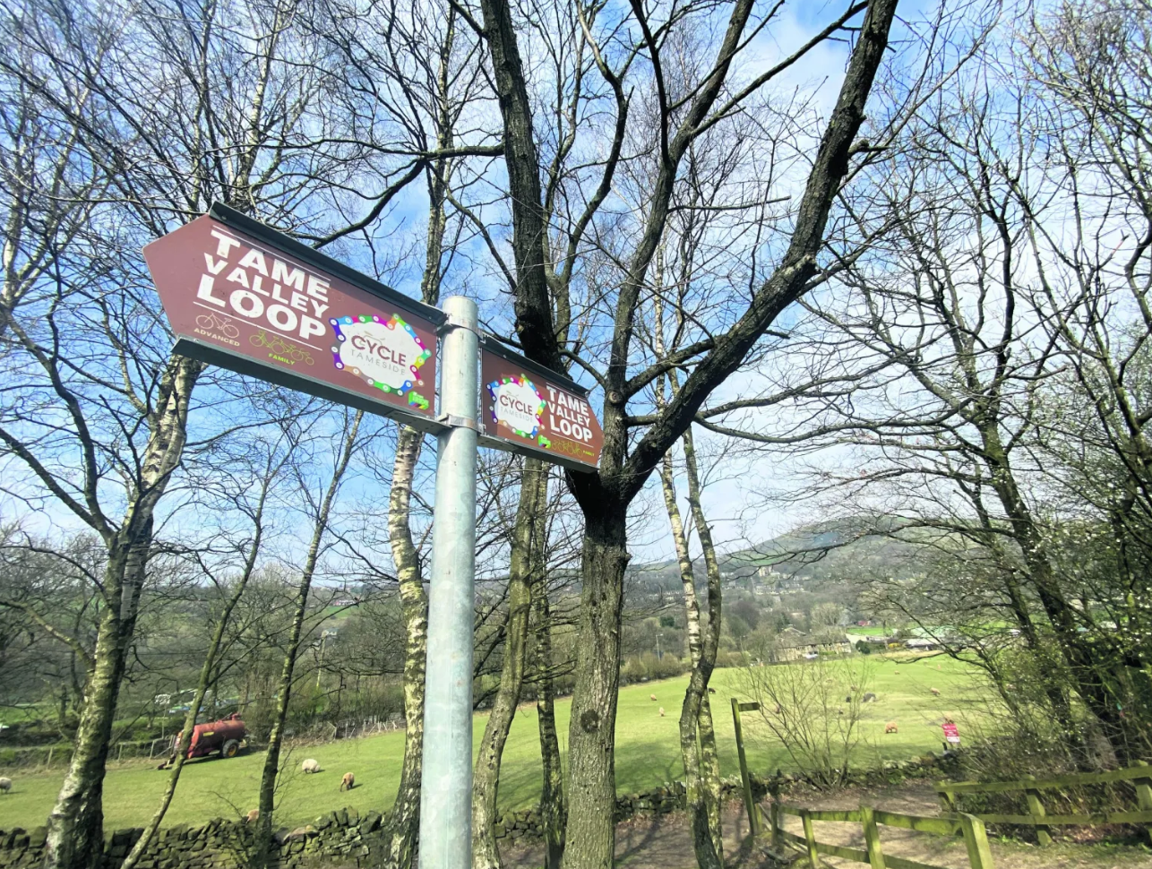 Tame Valley Loop Family