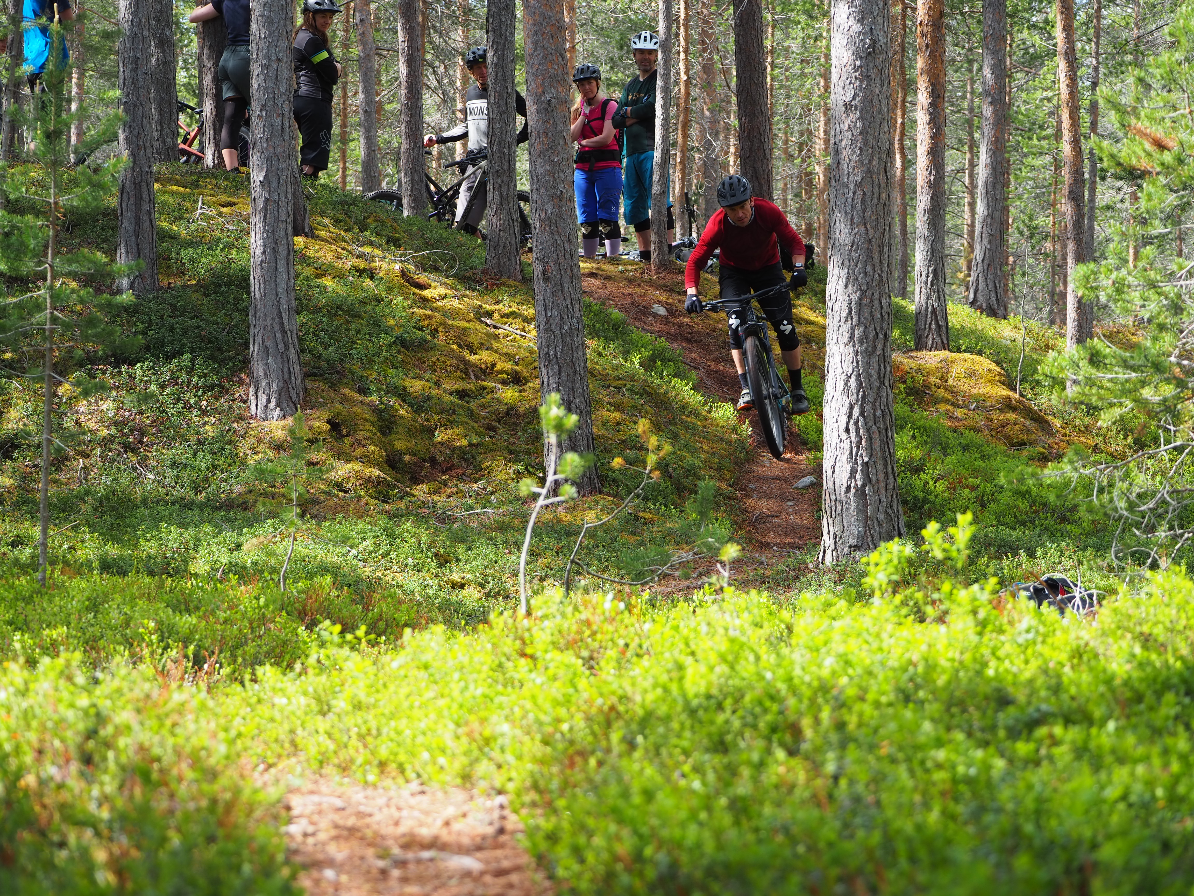 Gruvestien på Baugsberget
