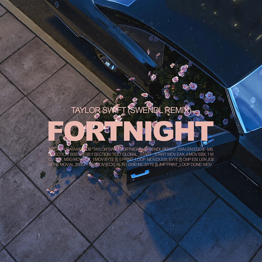 Fortnight (Swendl Remix) - Fortnight