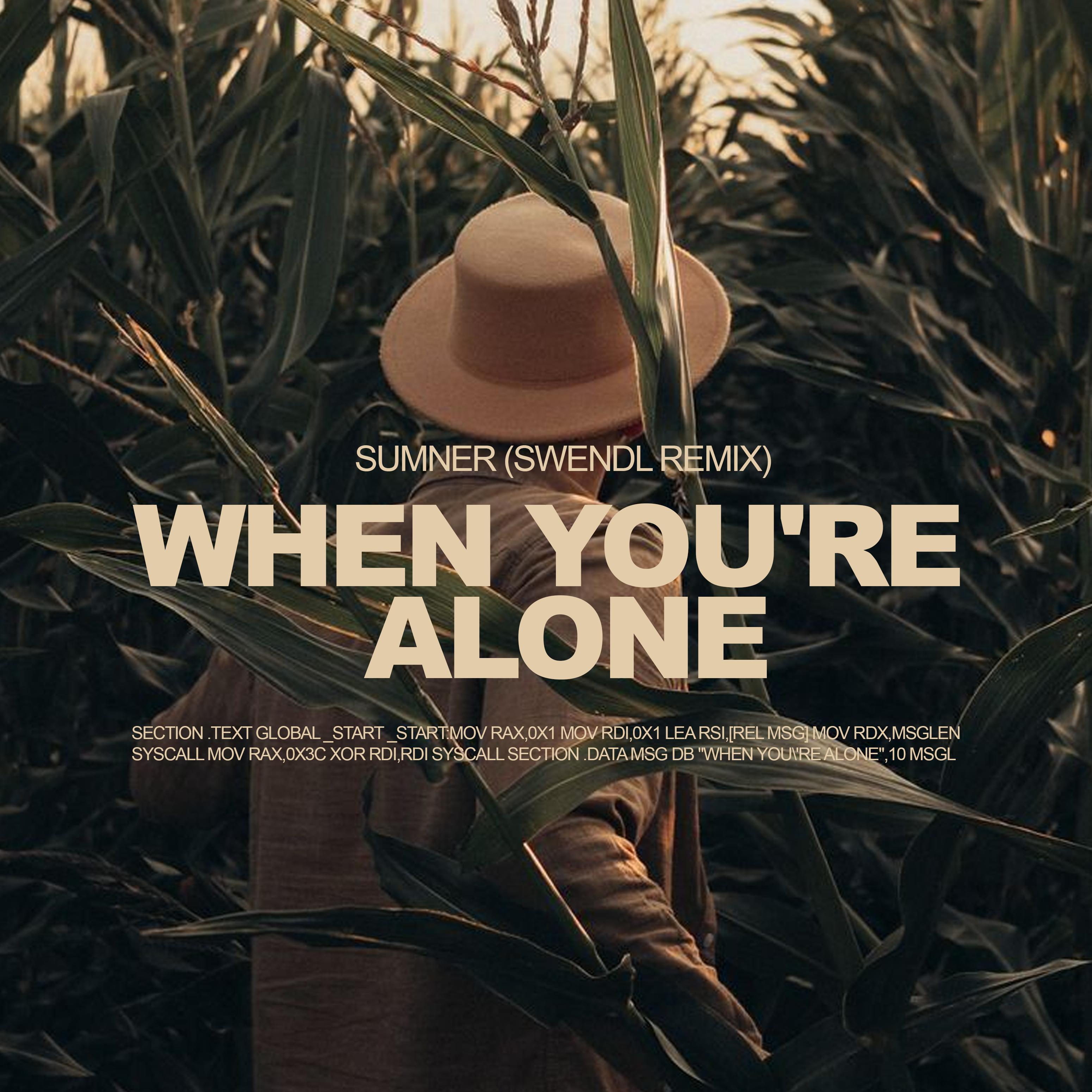 Sumner (Swendl Remix) - When You're Alone