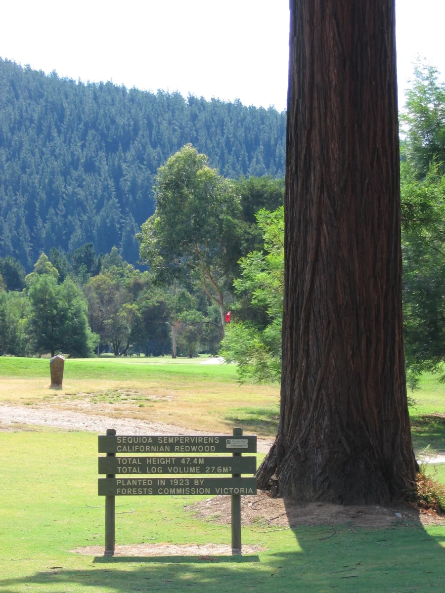 Bright Golf Course