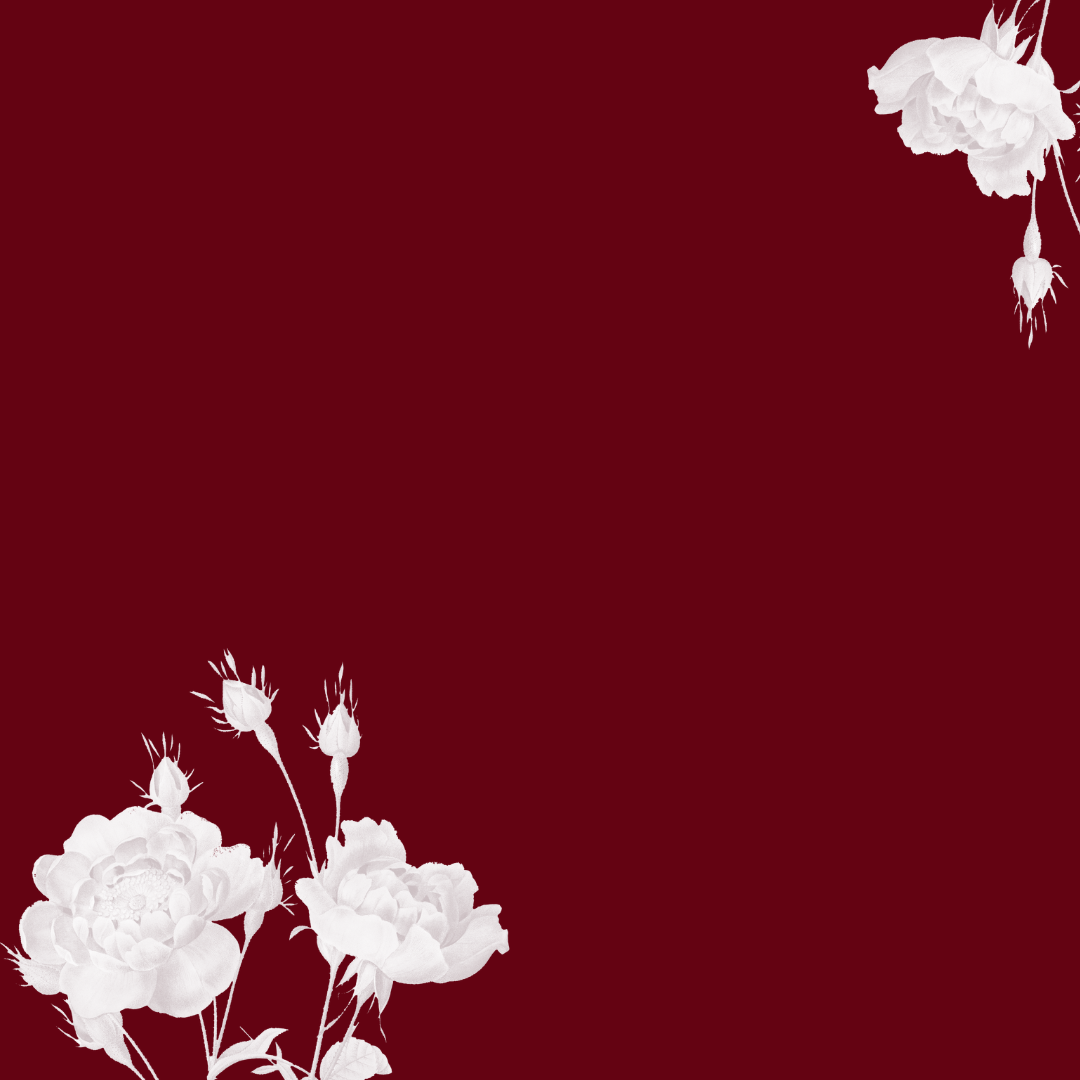 حرير