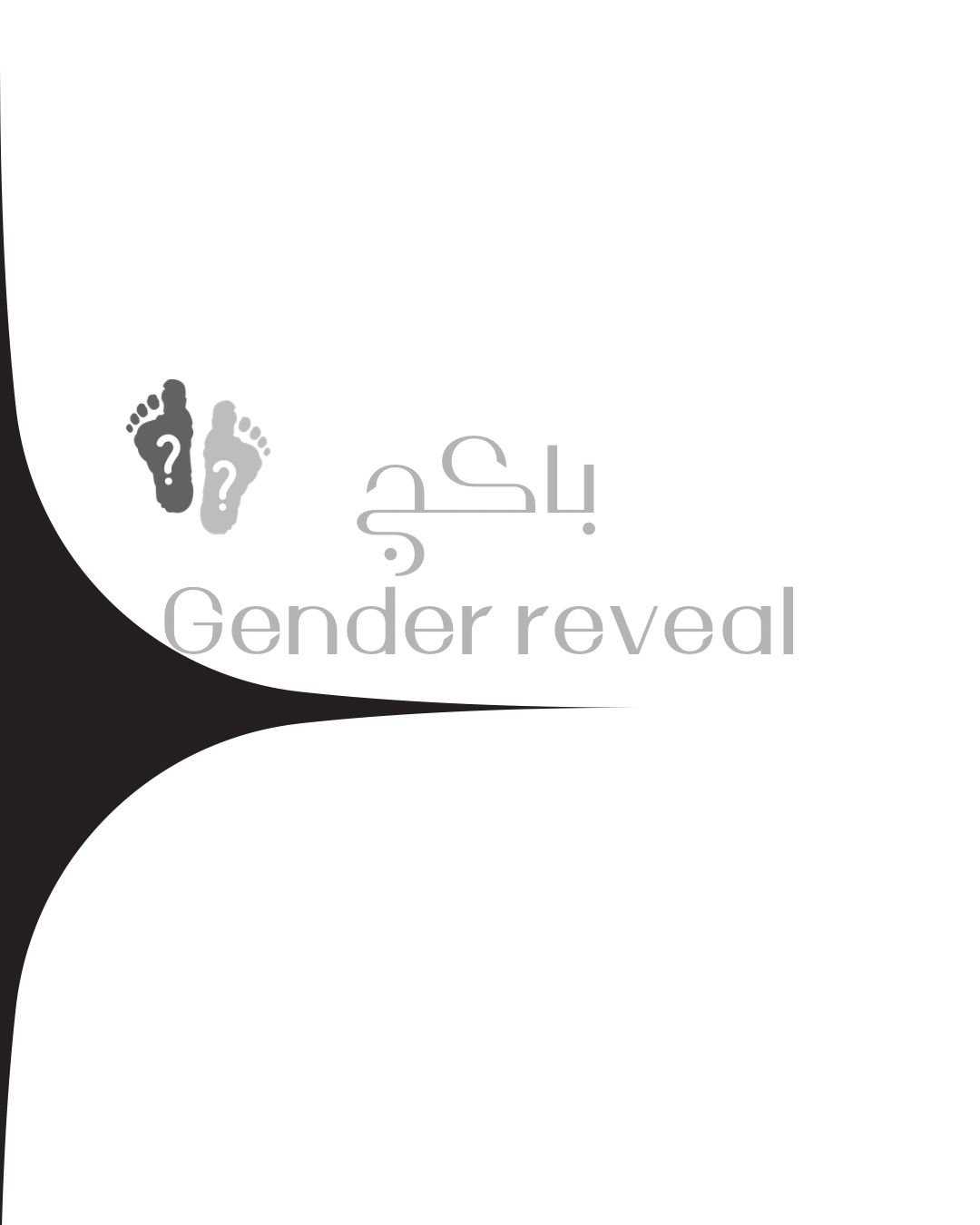 Gender reveal party package