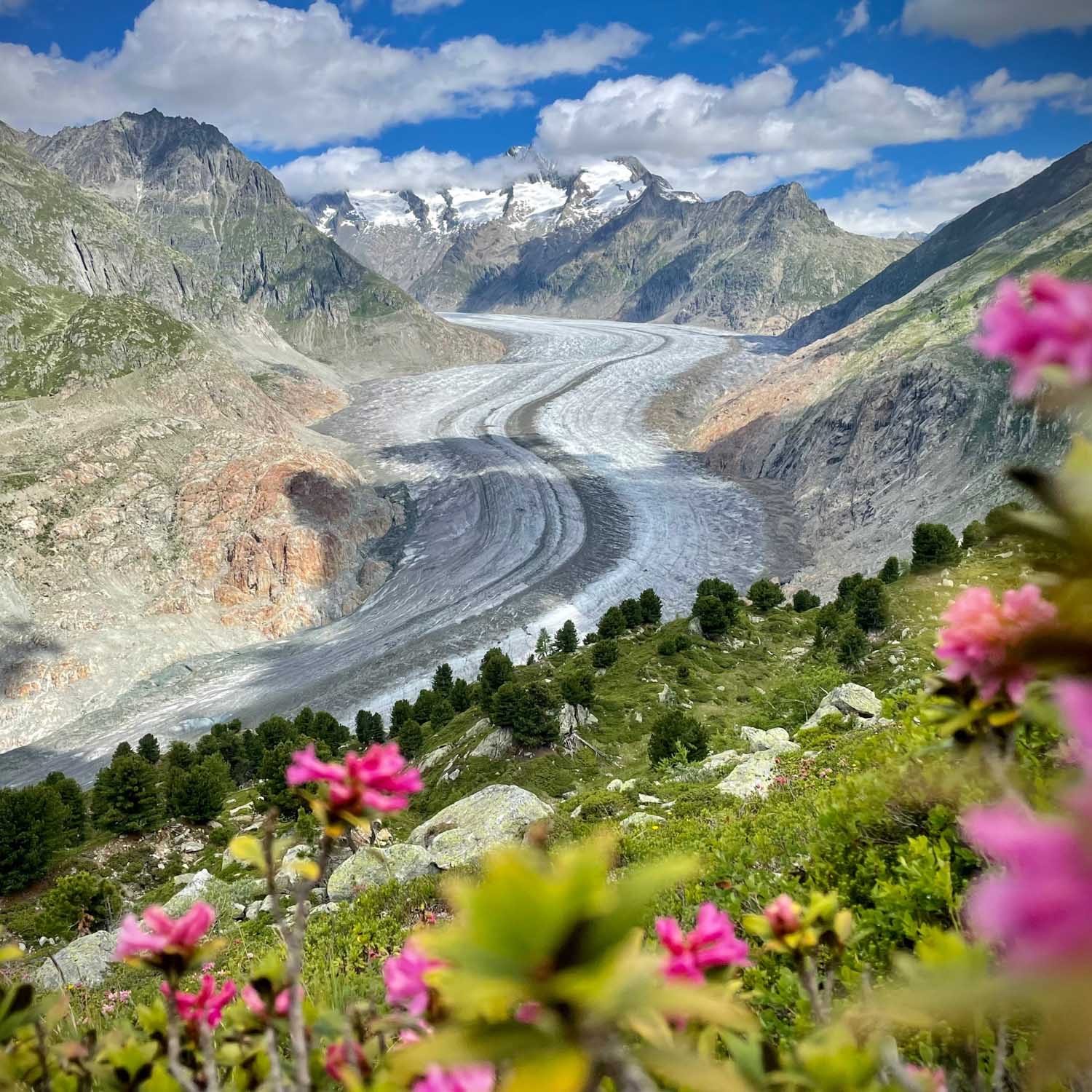Aletsch Glacier