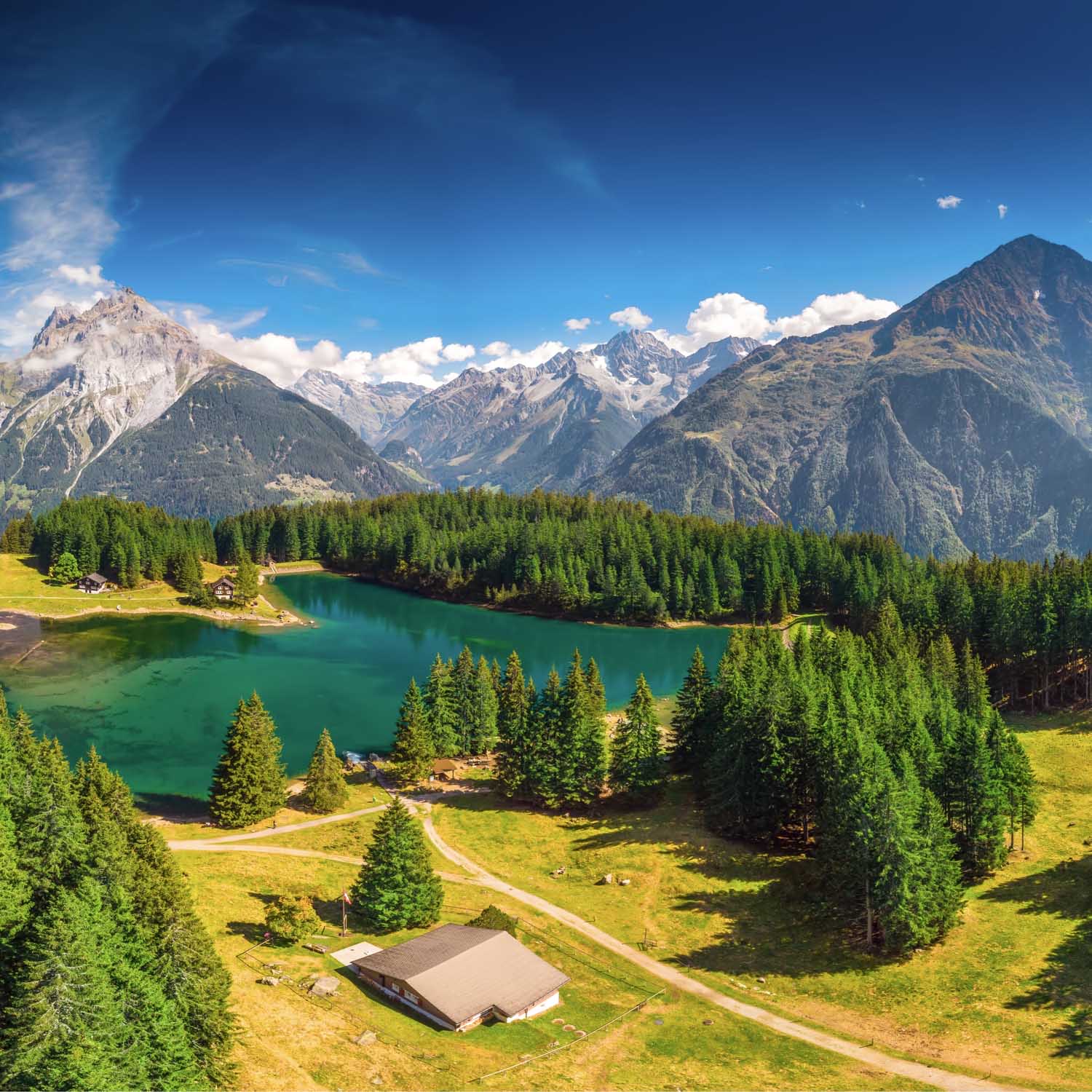 Arnisee