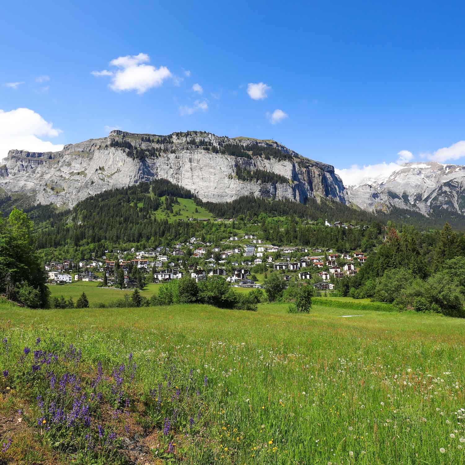 Flims