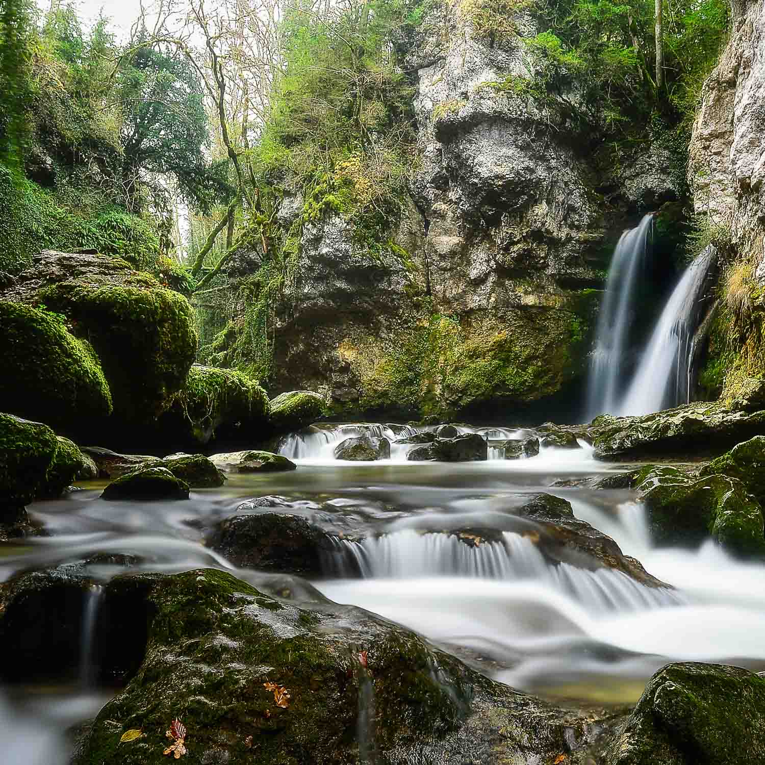 La Tine de Conflens
