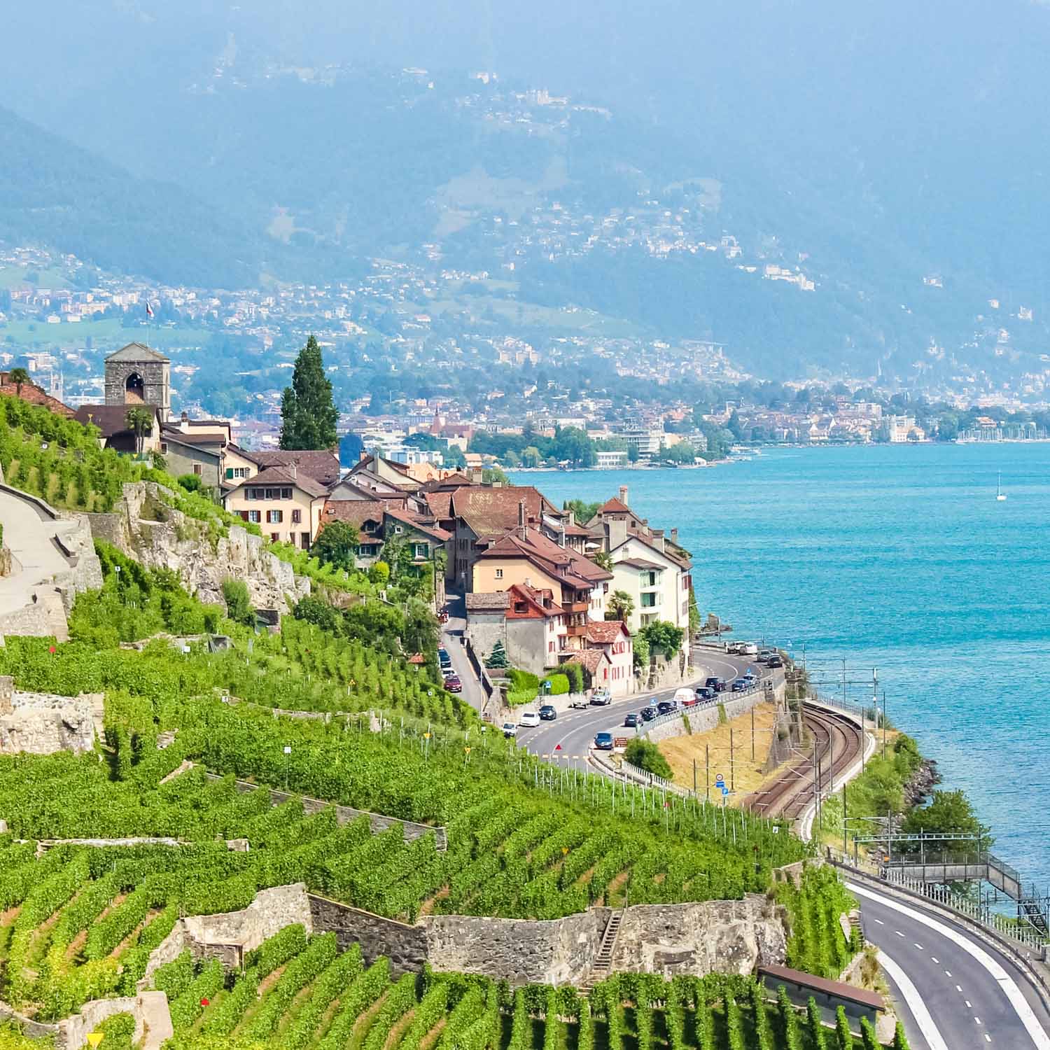 Lavaux