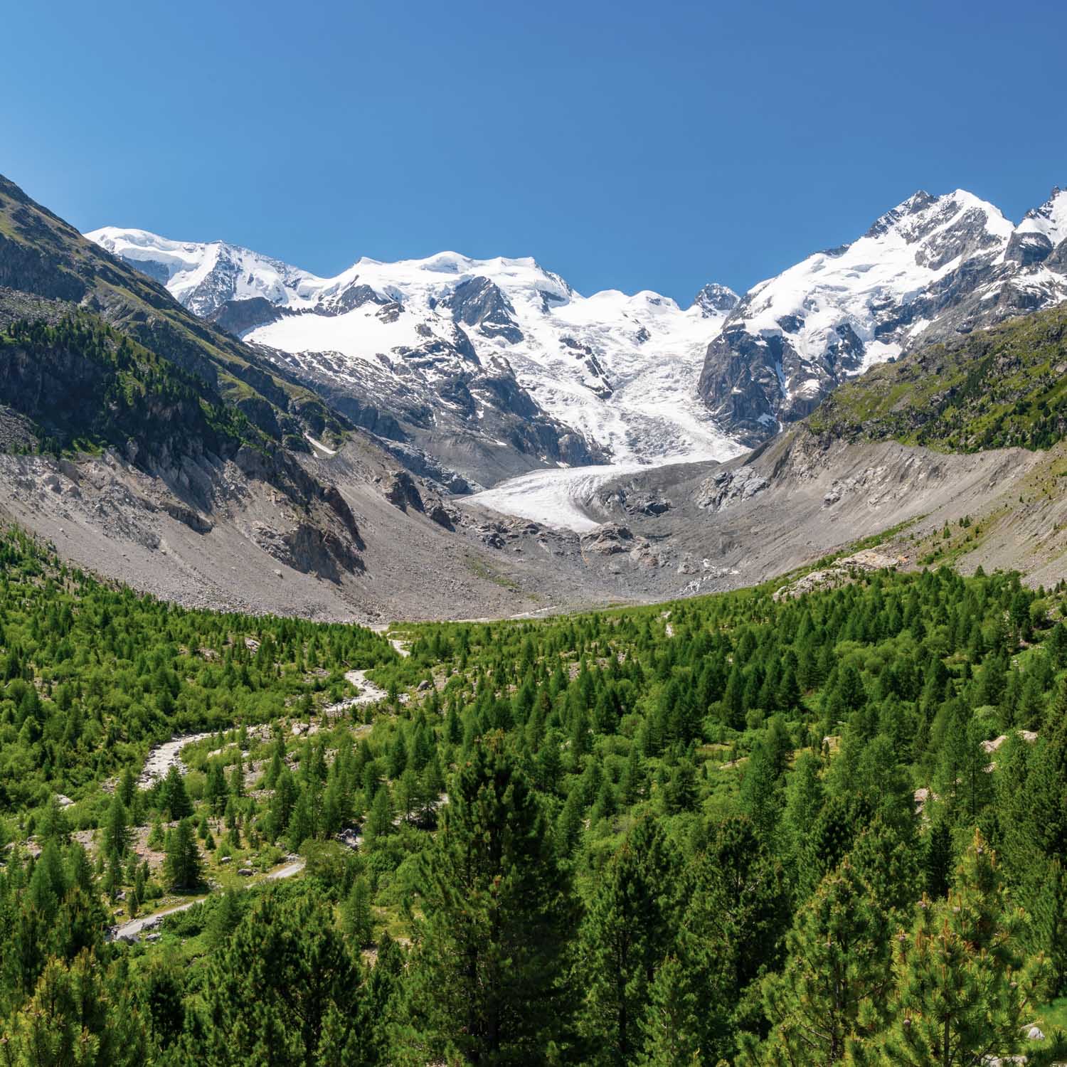 Morteratsch Glacier