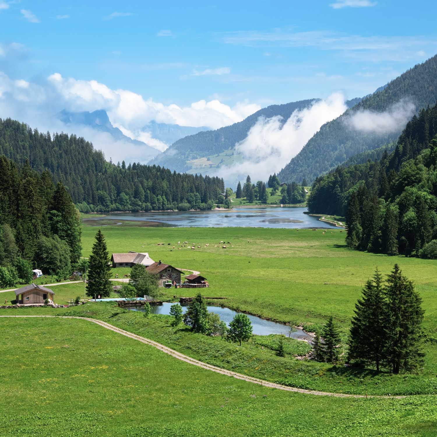 Obersee