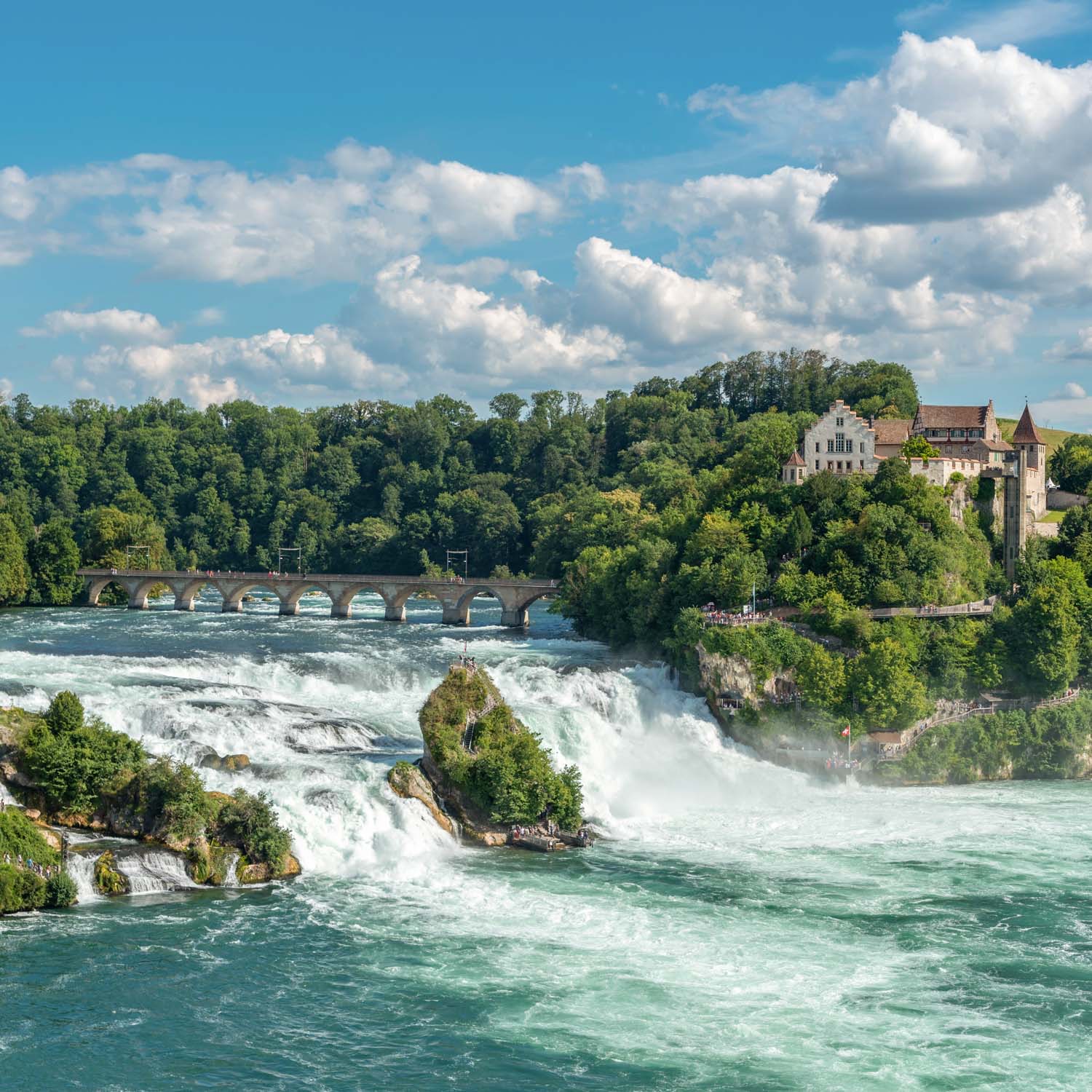 Rhine Falls